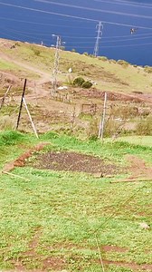 2.6M views · 22K reactions | Catching goldfinches using a net ️ #goldfinch #hunting #nature #Bird_hunting_hobby #Goldfinch_trap #How_to_use_a_net_to_catch_birds #fishing_net #birds #wild_birds | Wild Bird Beauty | Facebook