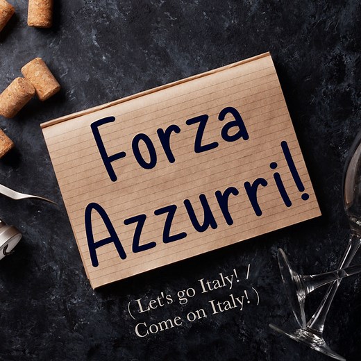 The Meaning of "Forza Azzurri!" in Italian - Let's go Italy! / Come on Italy! - Daily Italian Words