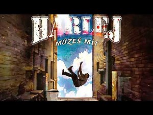 Harlej - Můžeš mít (oficiální audio)