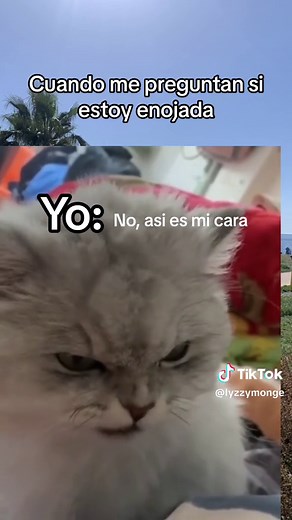 Cuando te dicen que estás enojada