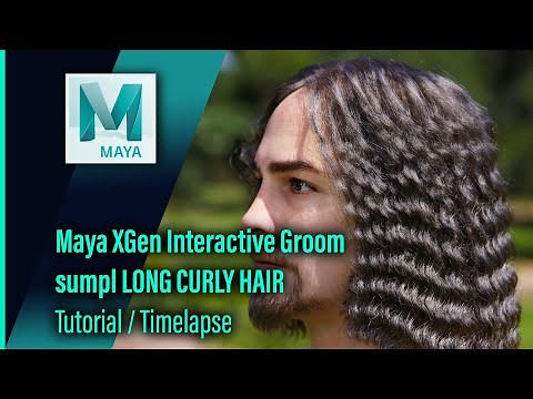 Maya XGen Interactive Groom Tutorial / Timelapse / LONG CURLY HAIR