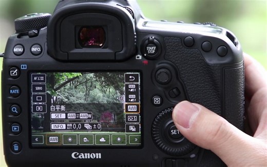 张尧聊摄影 | 佳能5D4（5D Mark IV）操作使用视频教程