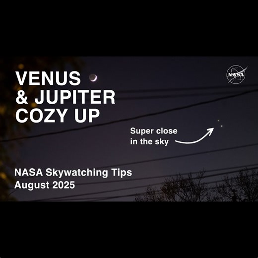 What's Up - August 2025