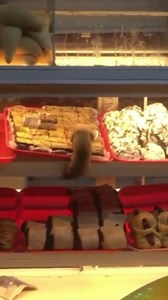 CHECK OUT TO OUR TIKTOK SHOP! *MODERN MINIATURE DISTRIBUTION PANEL *MINIATURE CIRCUIT BREAKERS *COMB BUSBAR *GROUNDING BUSBAR 4IN1 SET MESSAGE US IF YOU HAVE ANY INQUIRIES! #intrevible #fyp #trendingreelsvideo #viral #Panel #miniatures #breaker #distribution #electrical | Trev Electrical