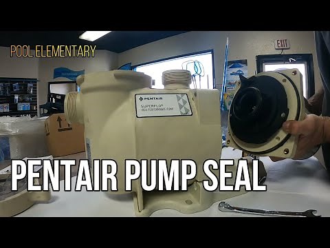 Pentair Pool Pump Seal Replacement: How to replace Pentair Super Flo Pump Seal and impeller