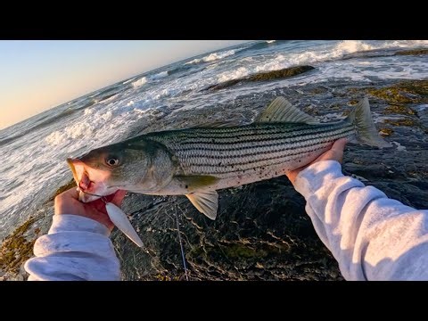 Surfcasting Big Surf & High Winds For Striped Bass