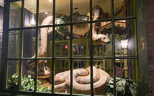 Hidden Gems of the Wizarding World of Harry Potter at Universal Orlando Resort