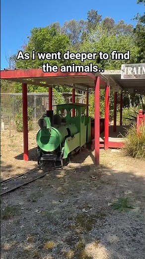 Animals left behind in abandoned zoo