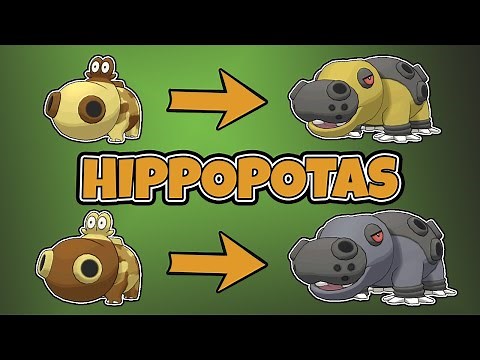 How to Evolve Hippopotas | Hippowdon | Pokemon Sword & Shield