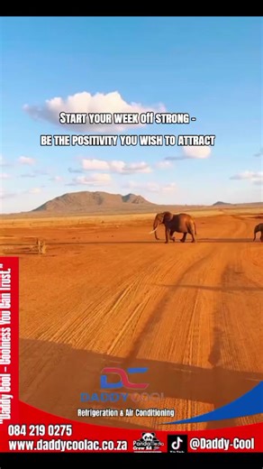 Start Your Week with Positive Energy