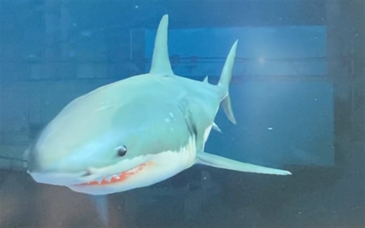 【JAWS UNLEASHED】第9关：BOSS（2号）