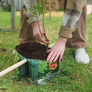 Planting Made Easy: Hacks You'll Actually Use | 3-Minute Hacks