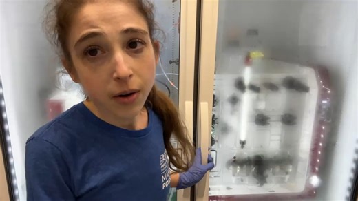Brianna Bibel on Instagram: "AKTA flow paths and injection valve modes – controlling the plumbing on an FPLC! https://youtu.be/Wn0dRwwocOc More on running size exclusion chromatography (practical look at running gel filtration on an AKTA PURE) https://youtu.be/KJ4v1FwfyP4 More on connecting a SEC column: https://youtu.be/o0ya3EpM86o more on size exclusion chromatography: http://bit.ly/sizeexclusionchromatography more on protein chromatography: http://bit.ly/proteincleaning more about all sorts o