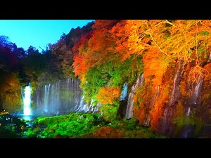 The Shiraito Falls, a World Heritage Site, illuminated!