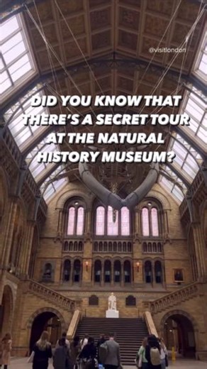 19K views · 289 reactions | The Natural History Museum is a...