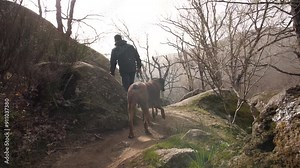 Follow our large boxer dog as we hike through the breathtaking Rocky Mountains, exploring rugged trails and enjoying nature's beauty together. Join us for this fun-filled adventure!