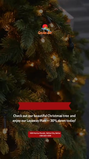 Christmas Trees 🎄 #goldenbay #goldenbaybelize #belizeshopping #fyp #belize #trend #christmastime #christmastree | Golden Bay Co. Ltd.