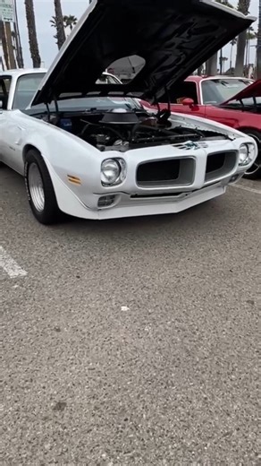 4.7K views · 201 reactions | 1970 Pontiac Trans Am  #pontiactransam #musclecar #shorts #pontiac #restomod #classiccar #musclecar #hotrod #protouring #classicsdaily #streetrod #streetcar #customcar #musclecardaily #classiccars #customcars #musclecars #americanmuscle #hotrodsandmusclecars #classicmuscle #musclecarsonly #musclecarzone | Best Muscle Cars | Facebook