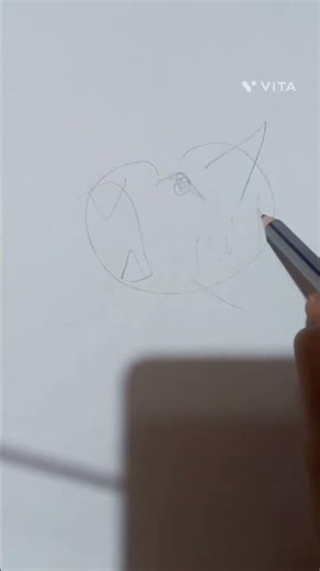 How to draw panther with sketch ?