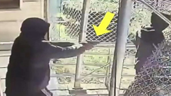 NYPD releases video of FedEx driver shot in back while making delivery in Brooklyn