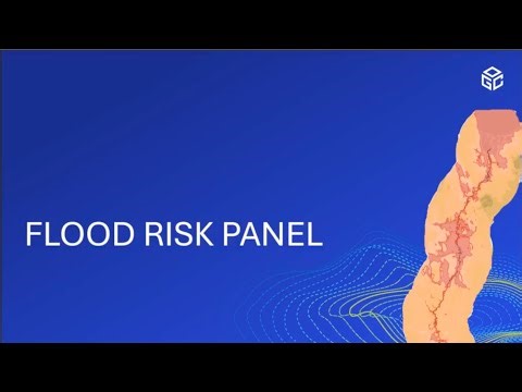 AI-DGGS Workshop: Flood Risk Panel