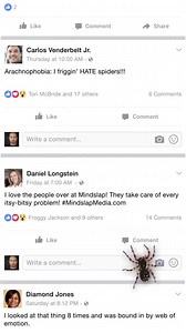 Si te dan miedo las arañas 🕷 | Sin Escape