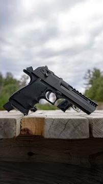 Would you want one for the gun safe? (Desert Eagle .357)