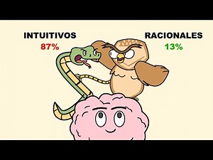 ¿Tu cerebro es búho o víbora? HAZ ESTE TEST