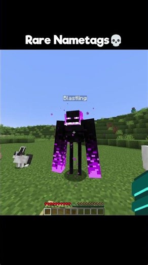 Minecraft Rare Nametags💀