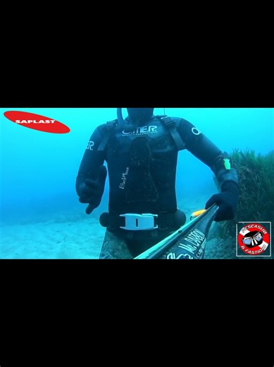 Saplast CAESAR-ONE fast release belt cintura sgancio rapido zavorra spearfishing weight belt
