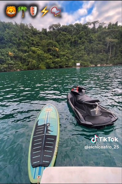 Afrobeats Dance Video Compilation