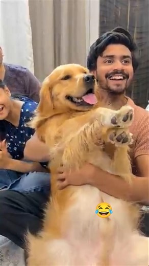 Horror Love letter 💌😱😱😨 rishabh ❤️ #shorts #reo #funny #dogs #like #trendingshorts...