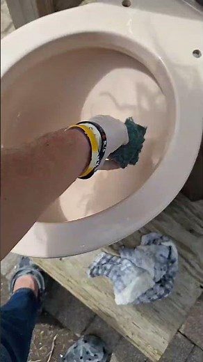 Peach Toilet ReStore with Muriatic Acid