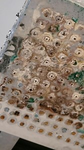 32 reactions · 10 comments | Hard water stains? GONE. This shower screen wasn’t replaced — just cleaned with GlassGuard. If it doesn’t work for you, it’s FREE. ✔ 60-Day Money Back Guarantee | GLASSGUARD | Facebook