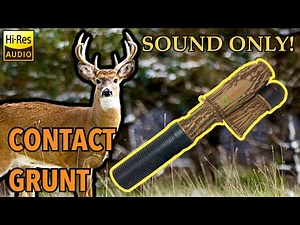 Sound Only: Young Buck Contact Grunt Flextone “The Extractor” Deer Call
