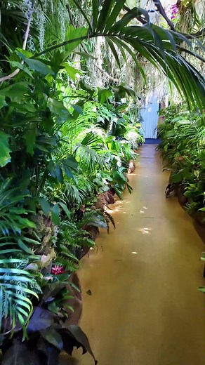 492K views · 2.5K reactions | During the Paris 2024 Olympic Games, a Paris-themed exhibition is underway at the City Hall of Paris, offering visitors an immersive touch of the development and changes of the romantic city. Watch the video and check it out. #Olympic #sports #Games #Paris2024OlympicGames #fun #memory #vlog #China #France #Paris #citywalk | Miss Panda | Facebook