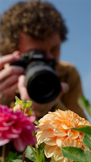 We’re delighted to announce the launch of the new FE 100mm F2.8 Macro...