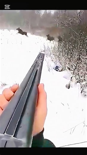 Fearless Hunter Pro – Wild Challenge#huntingshot #shortvideo #hunterpro.