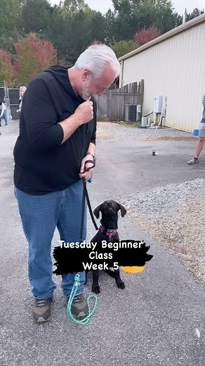 Rucker Dog Training on Reels