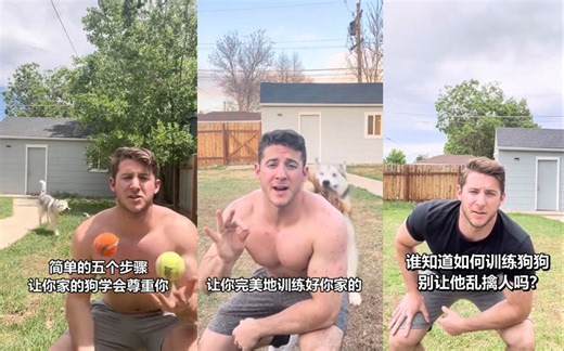 简单的五步 让你的狗子尊重你