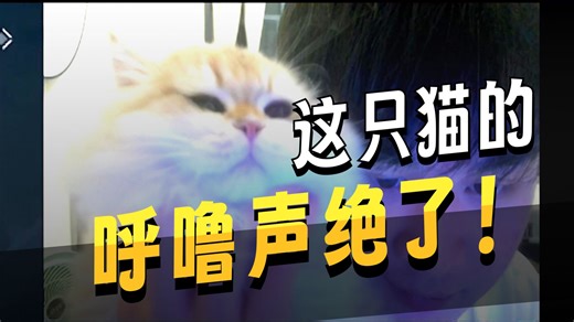 【罗太】蛋黄的变化好大