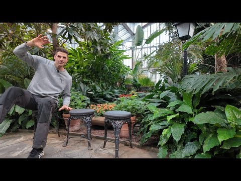 8-Minute Functional Fitness Flow | Low Impact Full Body Mindful Movement