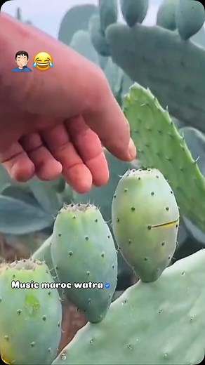 헠혂혀헶헰 헠헮헿헼헰 현헮혁헿헮…歹 on Instagram: "臘‍♂️"