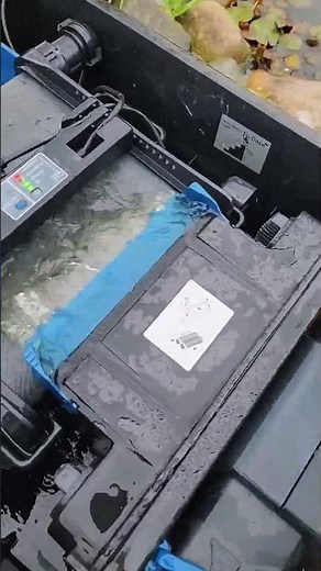 Watch a Atlantic-Oase Screenmatic in Action