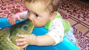 6.3K views · 91 reactions | BABIES MEET FISH FOR THE FIRST TIME | Funny Babies And Animals Videos Compilation Description: After Dad's first catch of the day, the kids get to hold the fish, until it flops out of their hands. | Baby TV | Facebook