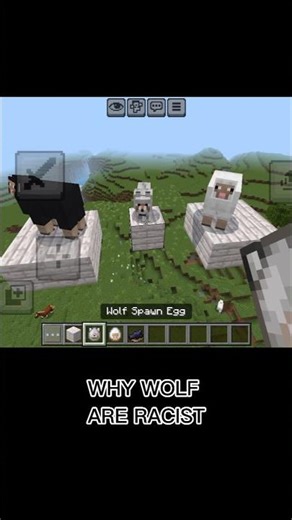WHY MINECRAFT WOLFS🐺 ARE RACIST ⚫ #minecraft #minecraftshorts