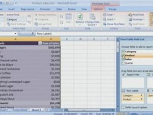 Excel 2007 Demo: Using Pivot Tables