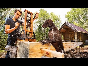Building A Forest Kitchen With My Dog In The Wilderness