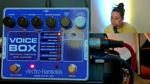 超级有才华的歌手Evilena Protektore使用EHX Voice Box人声效果器，并对人声效果器特性和功能进行了非常全面的评测，就像视频用户手册一样