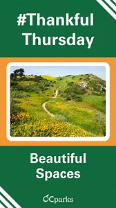 🌲 Beautiful spaces and trails are certainly things to be thankful for this #ThankfulThursday! OC Parks works to preserve nearly 60,000 acres of regional and wilderness parks, historic sites and coastal areas throughout Orange County. 🌅 OC Parks’ facilities offer something for just about everyone, from recreation to relaxation. 🚵 When exploring these beautiful spaces, remember to practice proper trail etiquette, leave no trace and only take photos back home, not objects. 🙌 What OC Parks facil